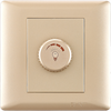 Rival switch light intensity control 500 watts - gold